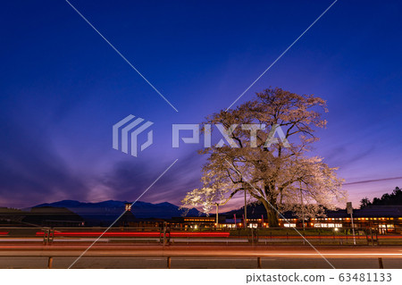 福島縣日本松市市路站足立櫻花 63481133