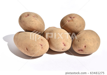 土豆（遠） 63481275