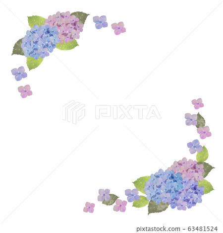 Hydrangea Frame - Stock Illustration [63481524] - PIXTA