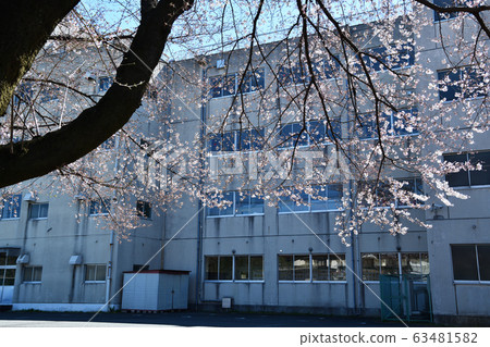 City scenery Kawagoe in early spring City scenery Kawagoe in early spring 63481582