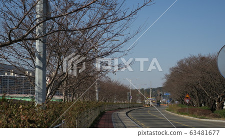 Cherry tree path 63481677