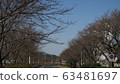 Cherry tree path 63481697
