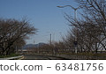 Cherry tree path 63481756