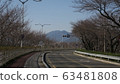 Cherry tree path 63481808