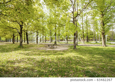 花博紀念公園鶴見綠地鶴見綠地公園與新鮮的綠色大阪景點 照片素材 圖片 圖庫