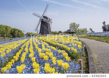 大阪市鶴見市鶴見琉球龍門田野花博公園 照片素材 圖片 圖庫 大阪市鶴見市鶴見琉球龍門田野花博公園 照片素材 圖片 圖庫