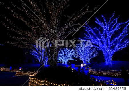 Nabana no Sato Illumination Nabana no Sato Illumination 63484256