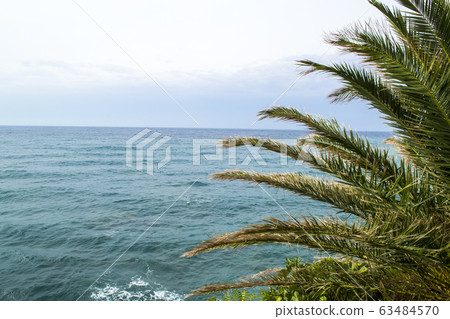 Sea view from the mountain. Palm leaves in the Sea view from the mountain. Palm leaves in the 63484570