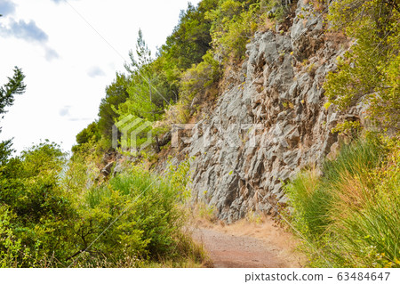 Pedestrian path in the mountains. Young greens and 63484647