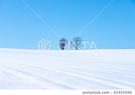 Landscape of Hokkaido Biei Town in winter Parent and child trees 63485098