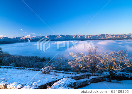 《Saitama Prefecture》Rime Ice and Chichibu's Great Sea of Clouds, Snowy Mountain Park 《Saitama Prefecture》Rime Ice and Chichibu's Great Sea of Clouds, Snowy Mountain Park 63489305
