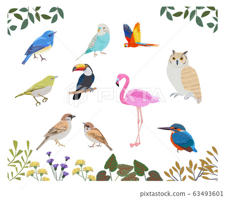 Bird set 63493601