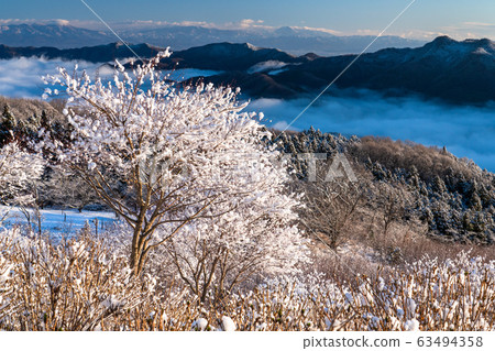《Saitama Prefecture》Rime Ice and Chichibu's Great Sea of Clouds, Snowy Mountain Park 《Saitama Prefecture》Rime Ice and Chichibu's Great Sea of Clouds, Snowy Mountain Park 63494358