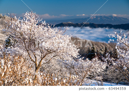 《Saitama Prefecture》Rime Ice and Chichibu's Great Sea of Clouds, Snowy Mountain Park 《Saitama Prefecture》Rime Ice and Chichibu's Great Sea of Clouds, Snowy Mountain Park 63494359