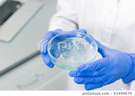 Gloved hands of scientific researcher holding petri dish with group of bacteria Gloved hands of scientific researcher holding petri dish with group of bacteria 63494679