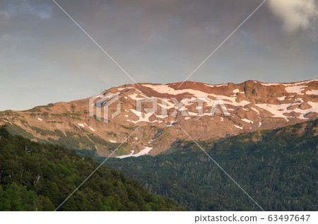 Mountain range and forest in the Conguillio National Park. Mountain range and forest in the Conguillio National Park. 63497647