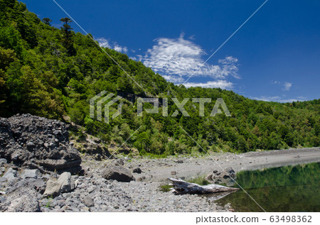 Conguillio lake in the Conguillio National Park. Conguillio lake in the Conguillio National Park. 63498362
