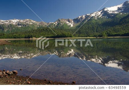 Cliffs and forest reflected on the Conguillio lake. 63498559