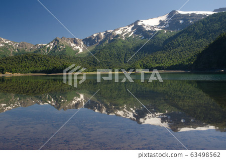 Cliffs and forest reflected on the Conguillio lake. 63498562