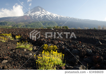 Llaima volcano in the Conguillio National Park. Llaima volcano in the Conguillio National Park. 63498609