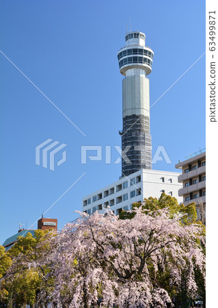 Yokohama · Yamashita Park Yokohama · Yamashita Park 63499871
