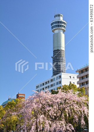 Yokohama · Yamashita Park Yokohama · Yamashita Park 63499872