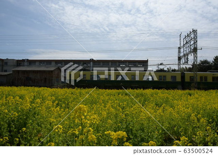 90th anniversary train and rape field 90th anniversary train and rape field 63500524