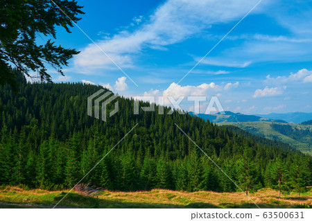wild nature, summer landscape in carpathian wild nature, summer landscape in carpathian 63500631