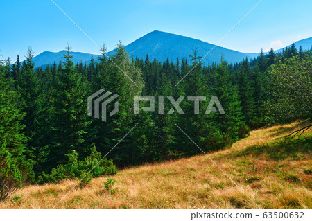 wild nature, summer landscape in carpathian wild nature, summer landscape in carpathian 63500632