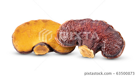 Lingzhi Mushroom Ganoderma Lucidum on white 63500873