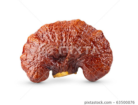 Lingzhi Mushroom Ganoderma Lucidum on white Lingzhi Mushroom Ganoderma Lucidum on white 63500876
