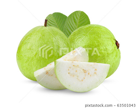 Guava fruit isolated on white Guava fruit isolated on white 63501043