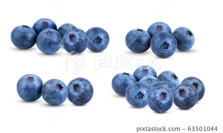 Fresh blueberry isolated on white background Fresh blueberry isolated on white background 63501044