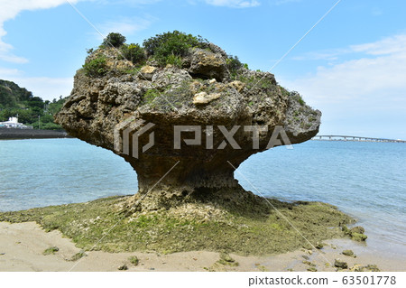 Hamahiga Island (Okinawa 63501778