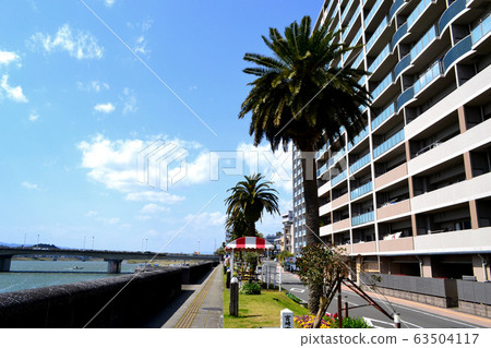 宮崎市立立公園，位於大淀川兩岸，充滿熱帶氣息的療養院 63504117
