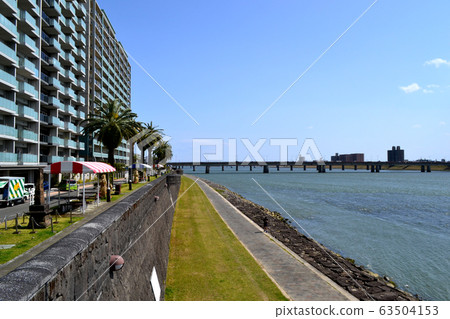 Miyazaki City Tachibana Park on the banks of the Oyodo River, a healing space full of tropical mood 63504153