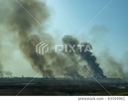 Watarase Yusui地面Yoshi烤 63504961