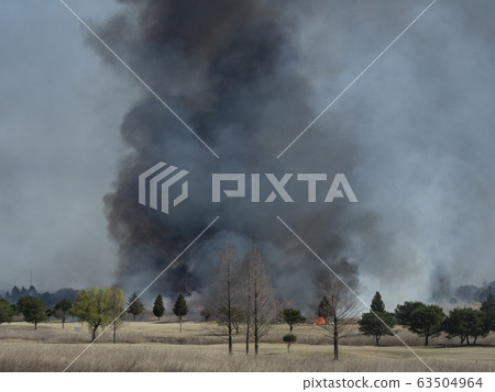 Watarase Yusui地面Yoshi烤 63504964