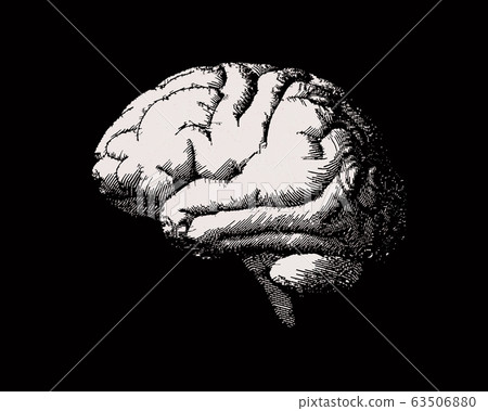 Engraving brain side view illustration on black BG Engraving brain side view illustration on black BG 63506880