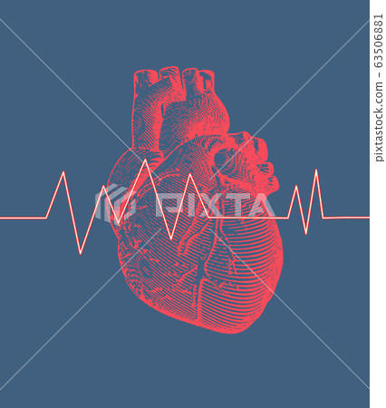 Human heart with heart rate illustration on blue Human heart with heart rate illustration on blue 63506881