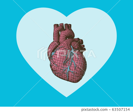 Pink wireframe human heart on green BG Pink wireframe human heart on green BG 63507154
