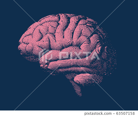 Pink engraving brain side view illustration with Pink engraving brain side view illustration with 63507158