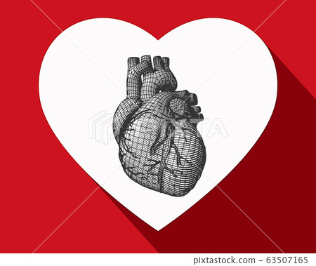 Wireframe human heart in heart symbol shape 63507165