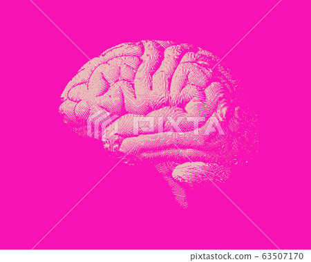 White engraving brain illustration on pink BG 63507170