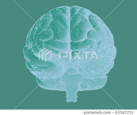 Negative engraving brain in front view on green BG - Stock Illustration ...