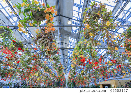 Naganoana Village Begonia Garden Naganoana Village Begonia Garden 63508127