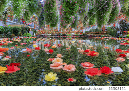 Naganoana Village Begonia Garden 63508131