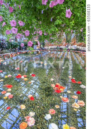 長野村海棠花園 63508133