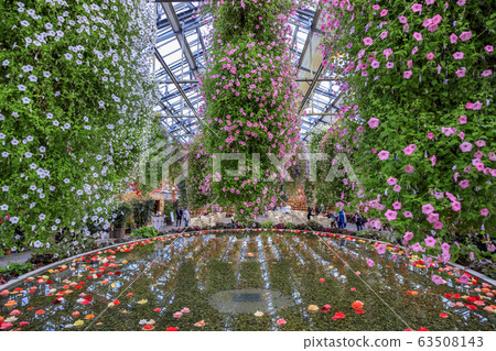 Naganoana Village Begonia Garden 63508143