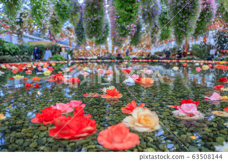 Naganoana Village Begonia Garden Naganoana Village Begonia Garden 63508144